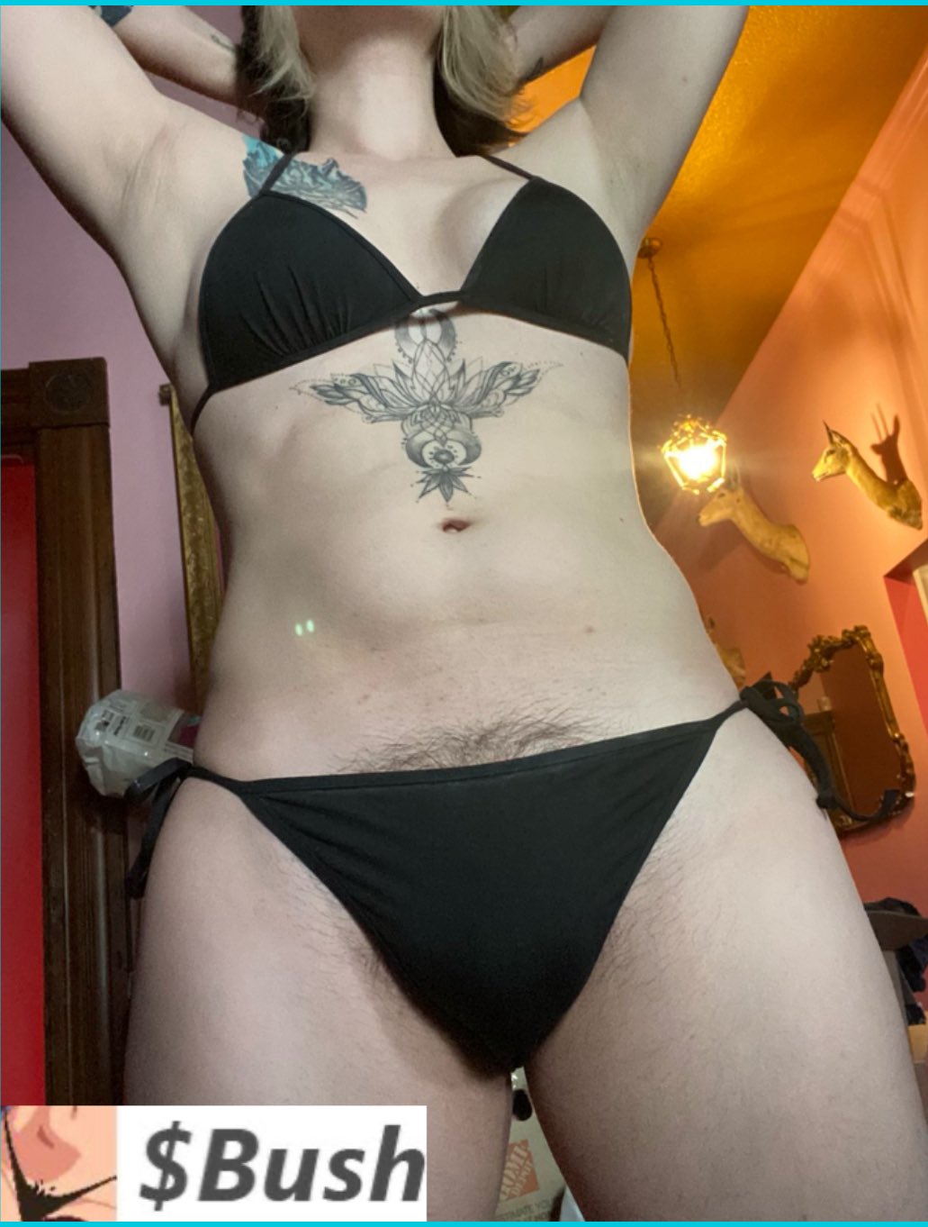 Community Bush Member 6